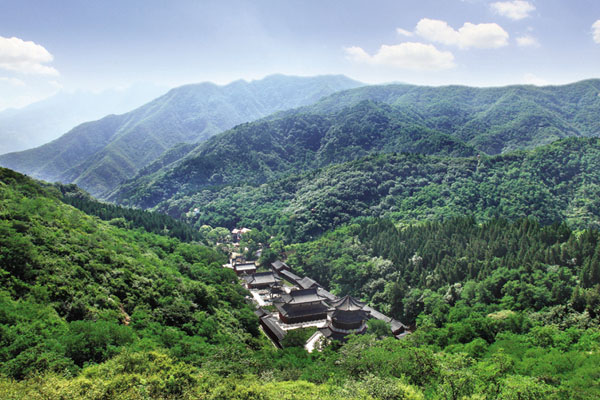 原始森林探秘游